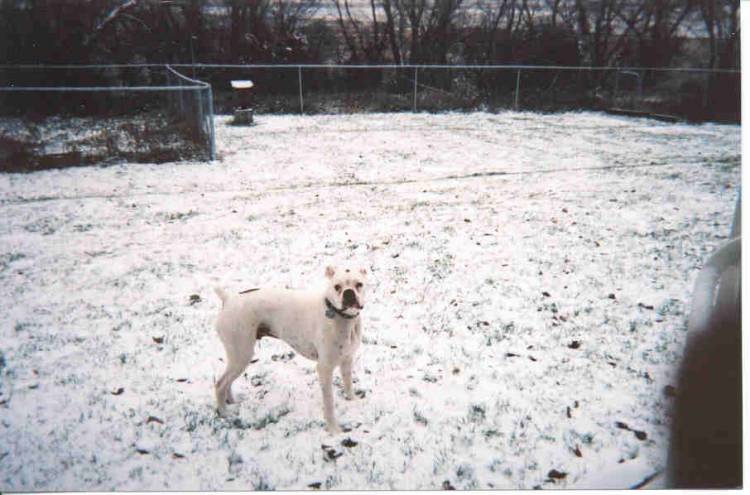 What is this White Stuff?