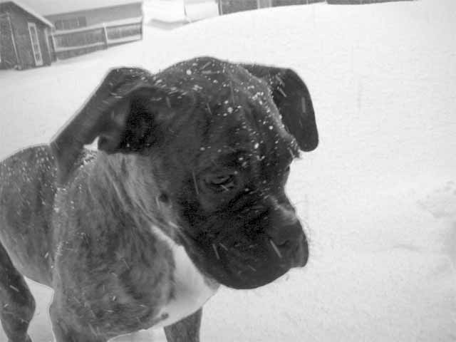 What is this white stuff?