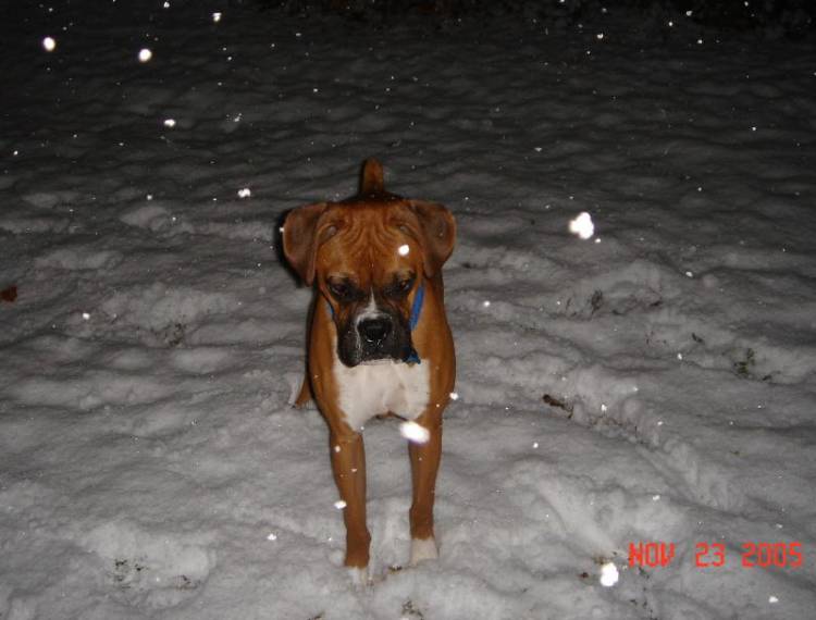 What is this white stuff?