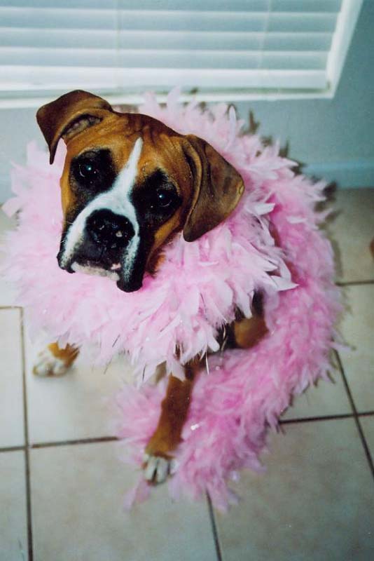 what Mac will do for treats.