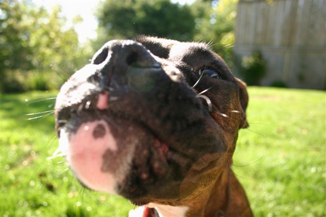 "What makes you think there is something in my mouth?