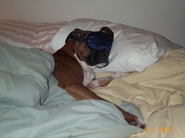 What, me spoiled??