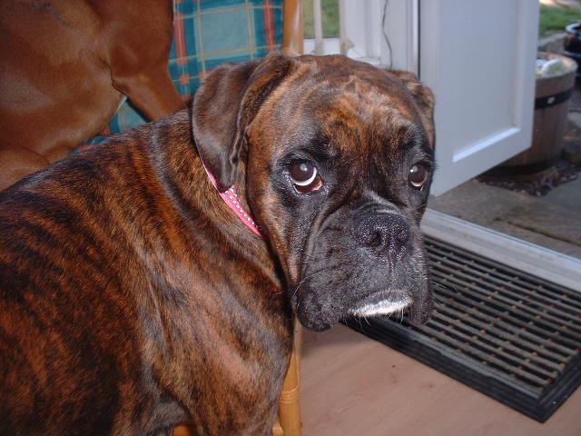 What me?