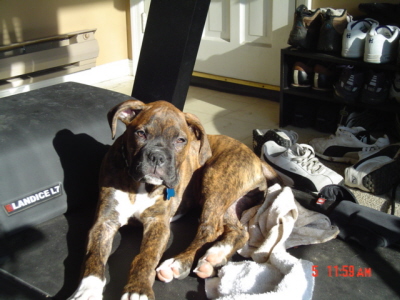 what mom? I'm working out on the treadmill.. yawn.
