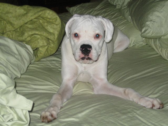 What this is my bed!