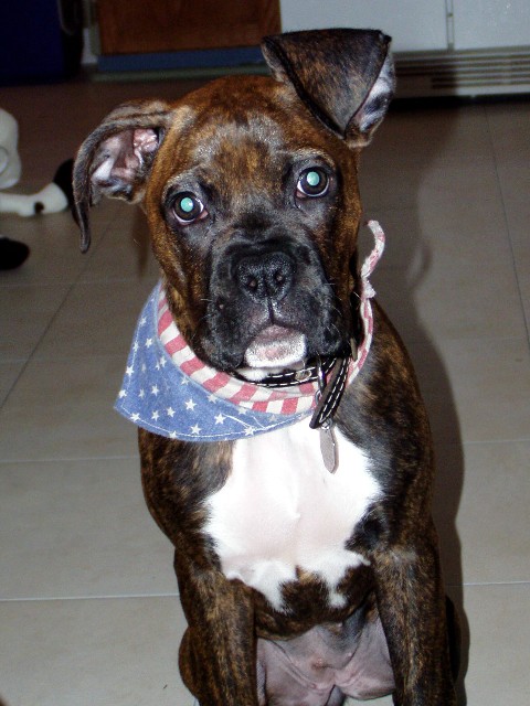 what to do about that ear???