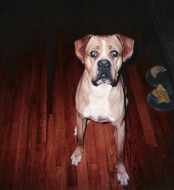 What you got? Is it for me?