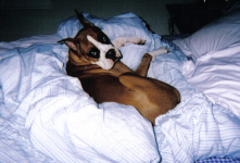 What? You want in bed?