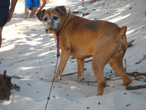 What_-_sand_tastes_good_
