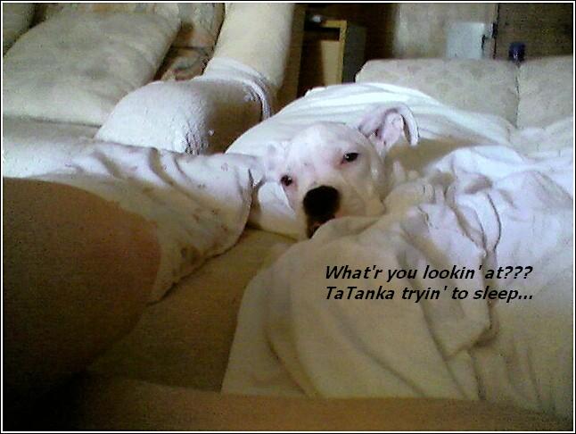 What_are_you_lookin_at