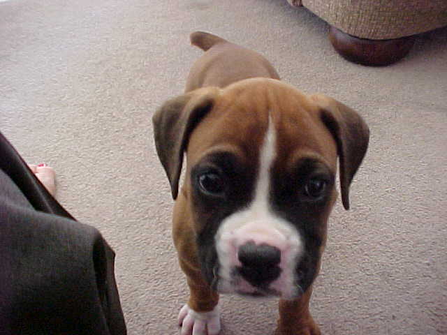 Whatcha doin with that thing, mom?