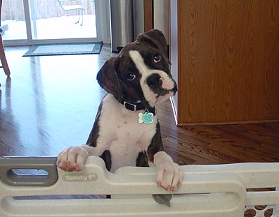 Whatcha Doin'?