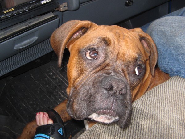Whatcha got there??