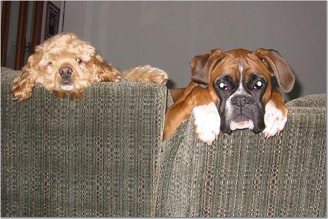 whatcha_doing_mom