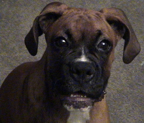 Whatchu talkin' bout Willis?