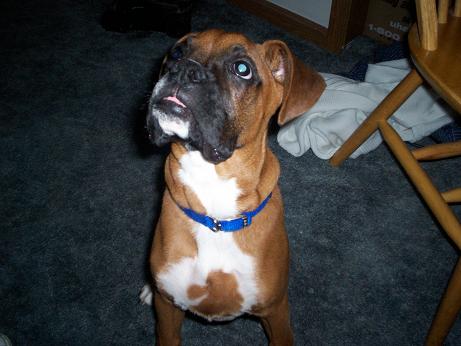 What'd you say to me?