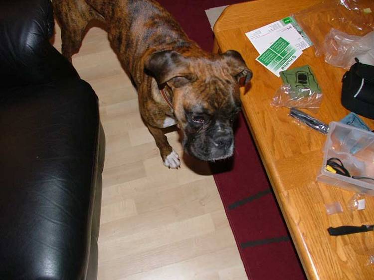 whats all this stuff?