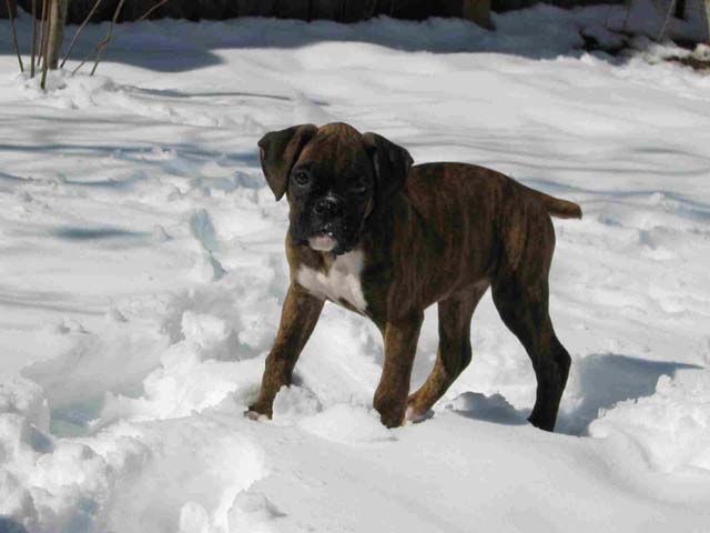What's all this white stuff?
