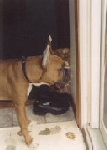 What's Dad doing?