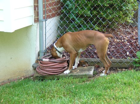 What's in here?