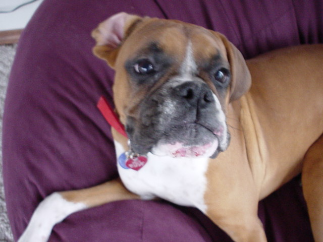 What's in your hand Mom?