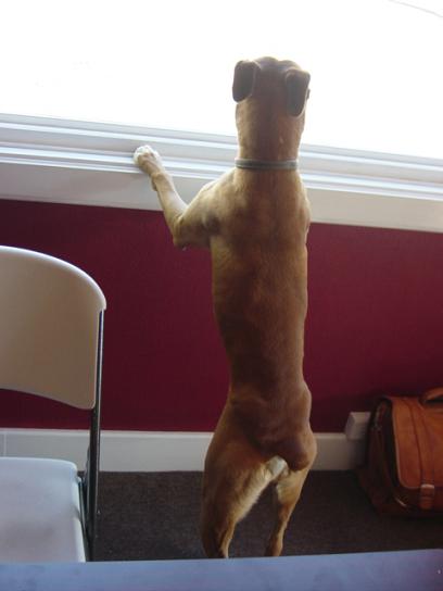 What's out there?