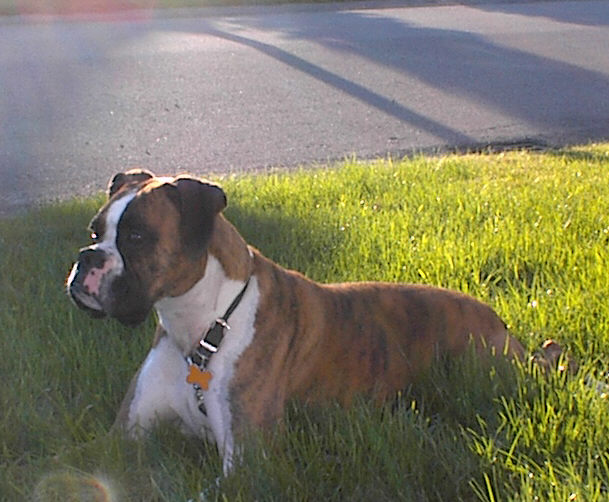 whats over there?
