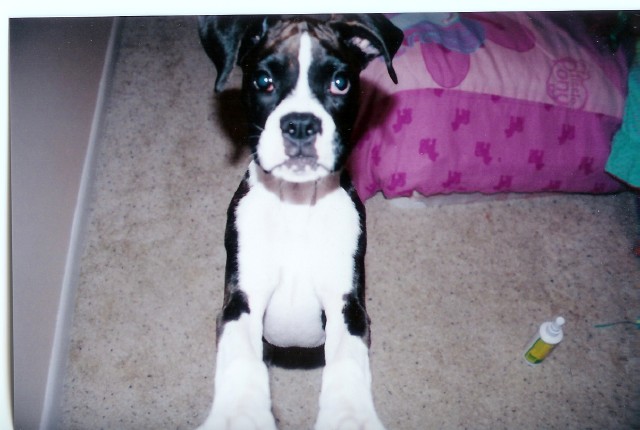 Whats that you got there mom?
