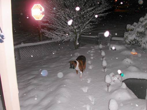 What's this white stuff?