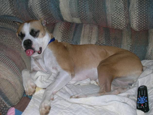 What's up with the tongue??