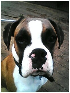 Whats up?