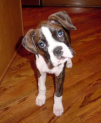 What's Up?