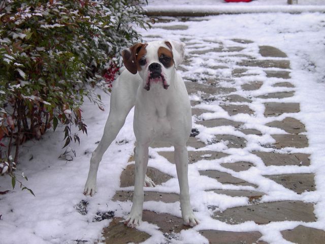 What's with all the white stuff?