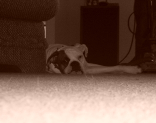 What's with the flash?!