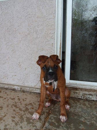 What's wrong with my ears ma?
