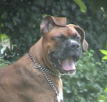 Whatta face!