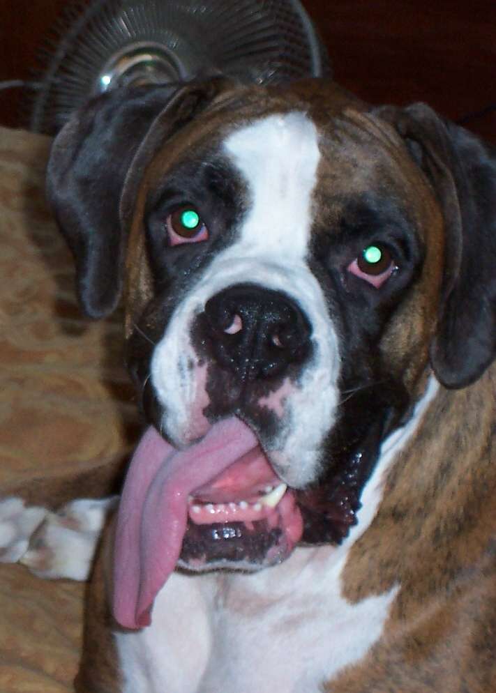 Whatta face!