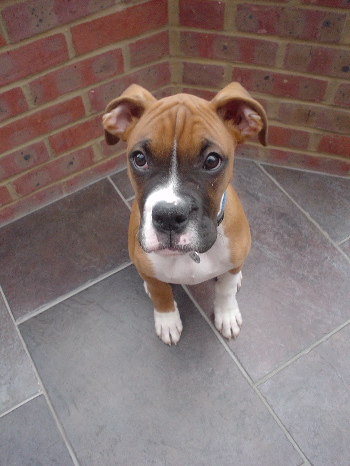 When are we going for that walk?