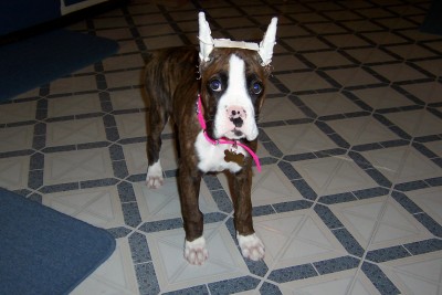 When does this come off?