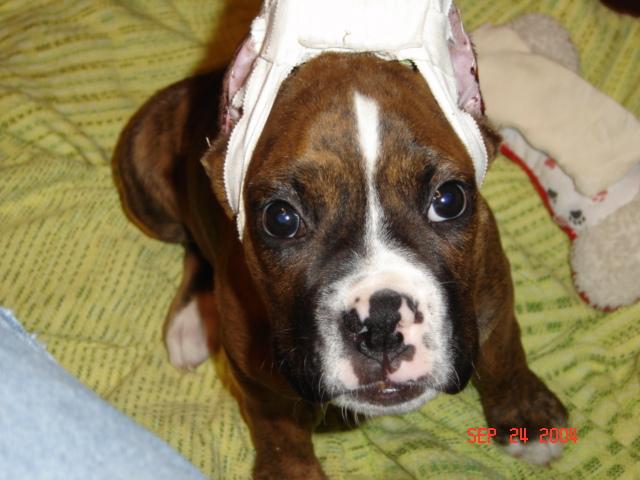 When does this hat come off again