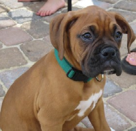 When he was cute