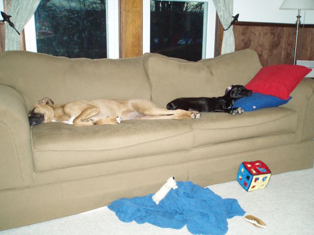 Where am i supposed to sit?