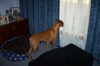 where did daddy go