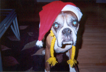 Where is Santa?