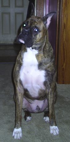 Where is she Dad??