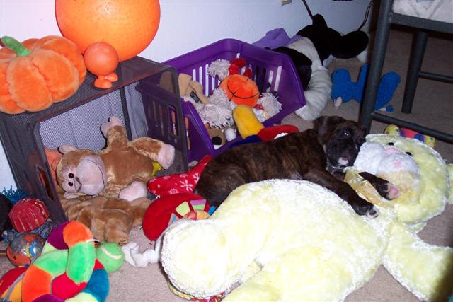 Where is Syd?