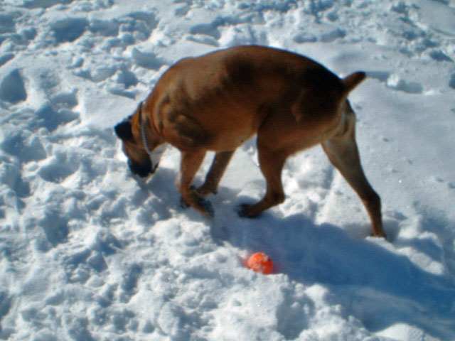 Where is that ball?