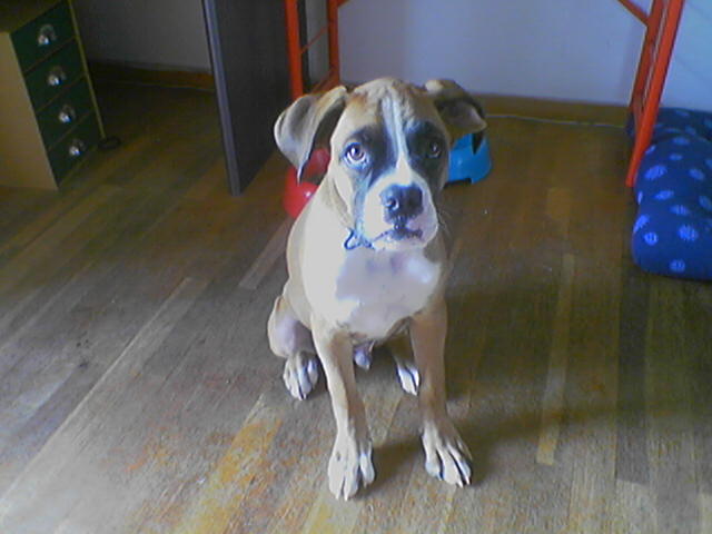 where s the treat?