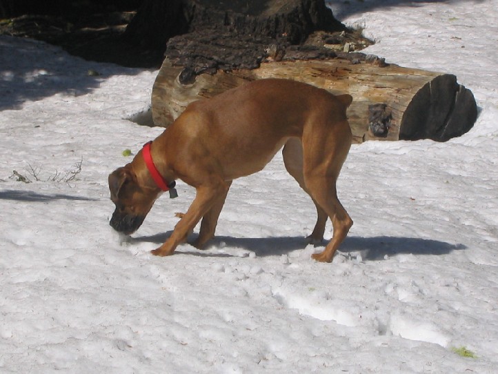 Where the heck did that white, cold ball go?