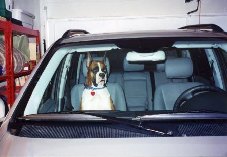 where_we_are_going